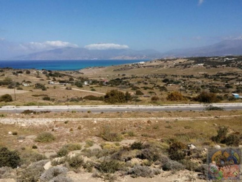 Pitsidia, Süd Kreta Pitsidia, Baugrundstück ca. 2337m² mit Meer- und Bergblick Grundstück kaufen